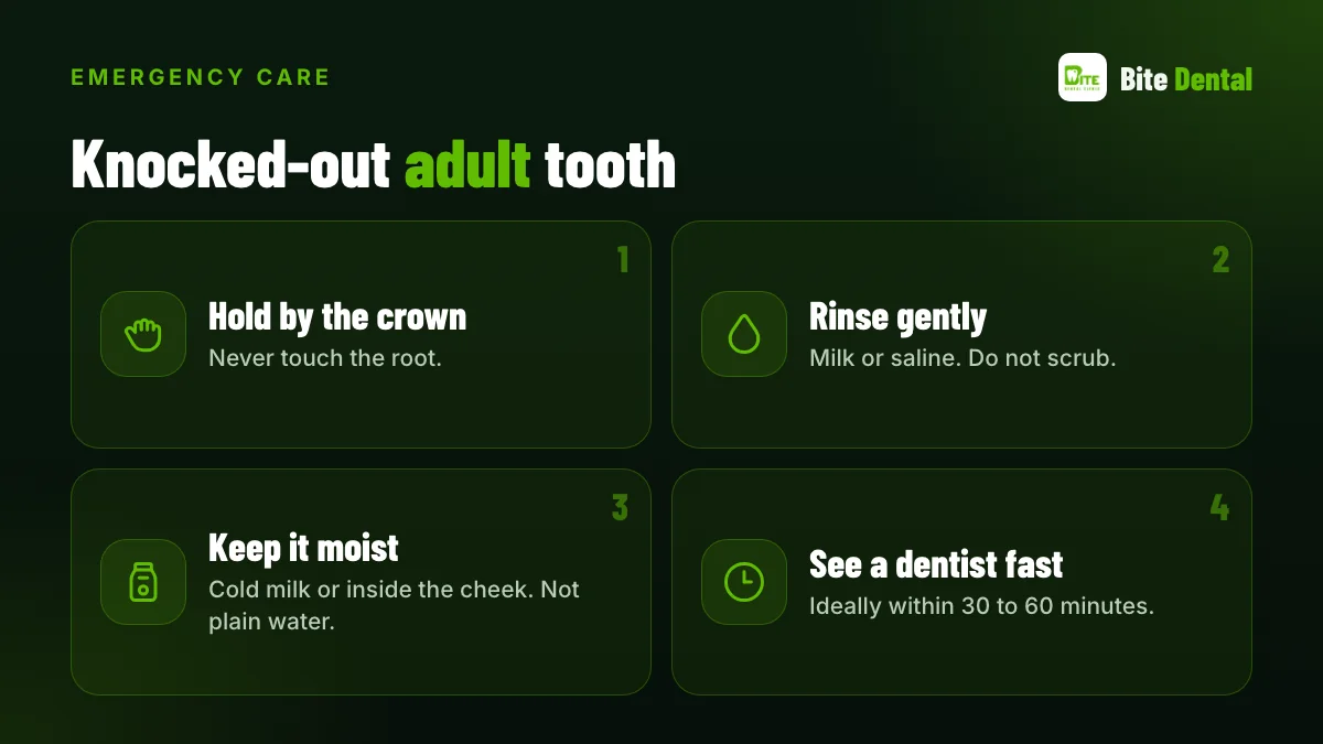 First aid for a knocked-out tooth: pick by the crown, rinse gently, keep moist, see a dentist fast